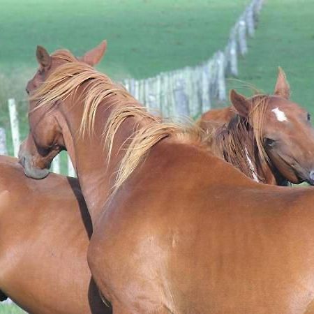 Estancia Hosteria El Ceibo Флорида Экстерьер фото