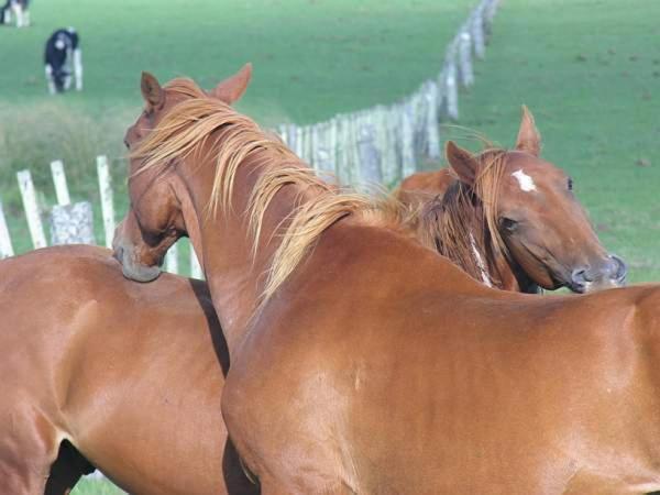 Estancia Hosteria El Ceibo Флорида Экстерьер фото